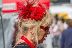 Prinsjesdag_2014_-_084