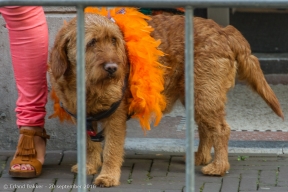 Prinsjesdag 2016-2