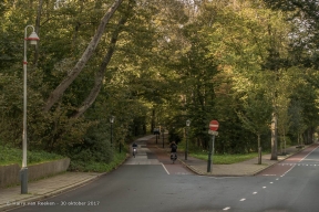 Prof. P.S. Gerbrandyweg - Van Stolkpark-Schev.Bosjes-2