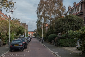 Roelofsstraat - Benoordenhout-5