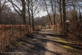 Scheveningseweg - Park Sorghvliet-wk10-4