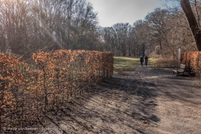 Scheveningseweg - Park Sorghvliet-wk10-5