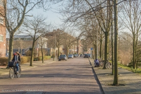 Stokroosstraat-wk12-16