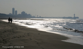 strand-meijendel-04