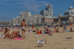 Strand scheveningen-14