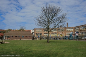 Tesselseweide - 7