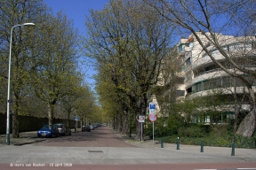 Timorstraat - Archipelbuurt-11