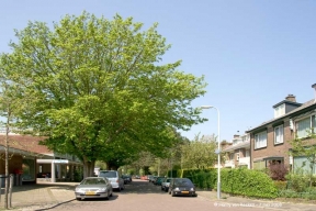 Verseveldtweg 13272