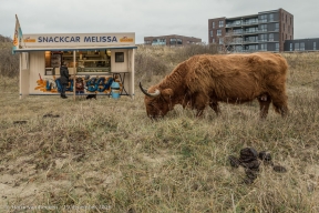 Westduinpark - Snackcar Melissa - Schorse Hooglanders