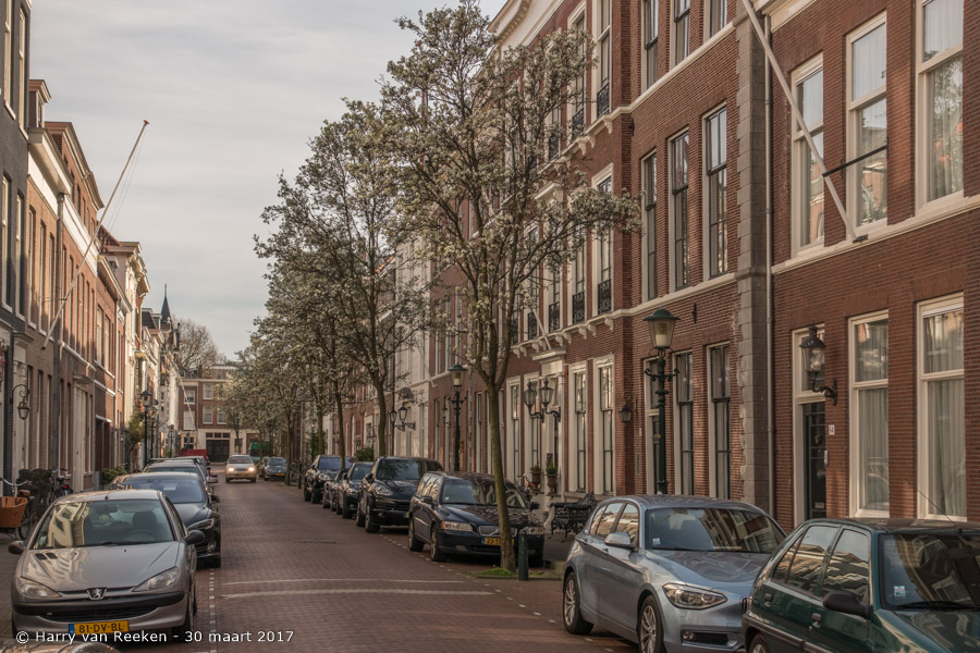 Willemstraat-03