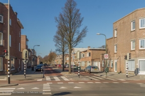 Zonnebloemstraat-wk12-05